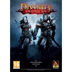 Divinity Original Sin Edycja Kolekcjonerska PC używana PL
