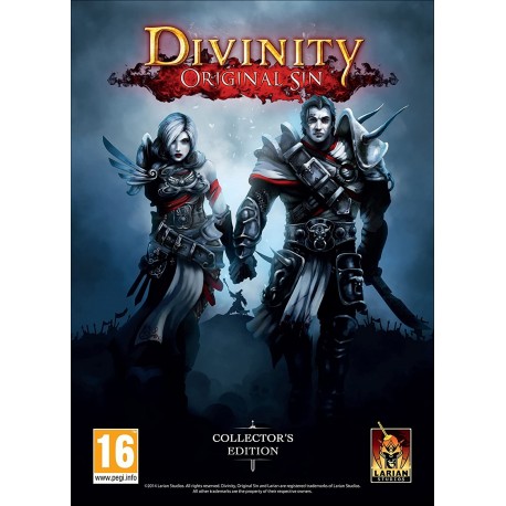 Divinity Original Sin Edycja Kolekcjonerska PC używana PL