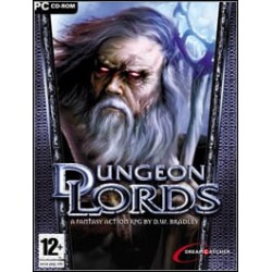 Dungeon Lords PC używana PL