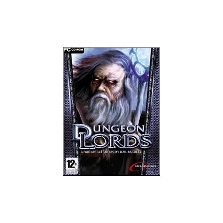 Dungeon Lords PC używana ENG