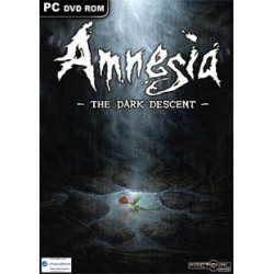 Amnesia The Dark Descent Mroczny Obłęd PC używana PL
