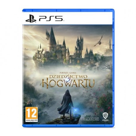 Hogwarts Legacy PS5 używana PL