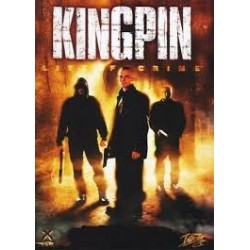 Kingpin PC używana ENG