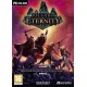 Pillars of Eternity PC używana PL