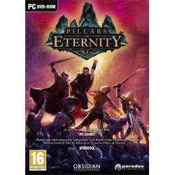 Pillars of Eternity PC używana PL