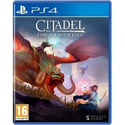 Citadel Forged with Fire PS4 używana ENG