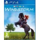 Windstorm The Game PS4 używana ENG