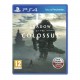 Shadow of the Colossus PS4 używana PL
